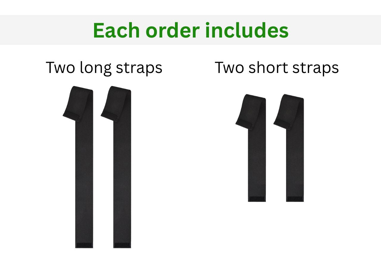 Leg